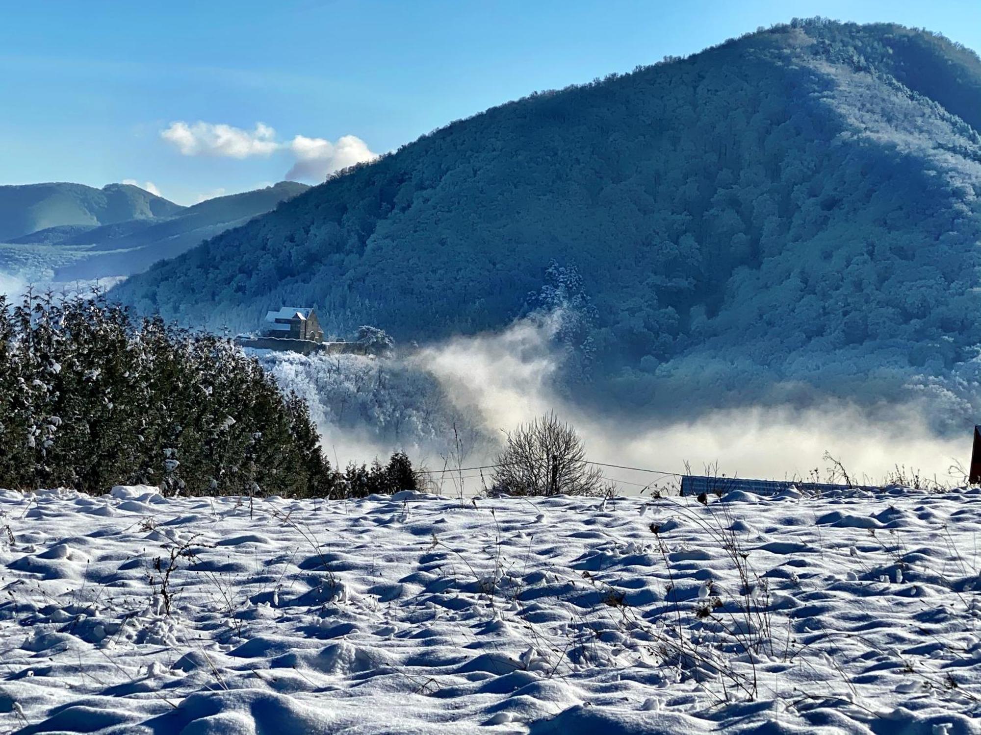 Pensiunea Apfelhaus Cisnădioara Esterno foto