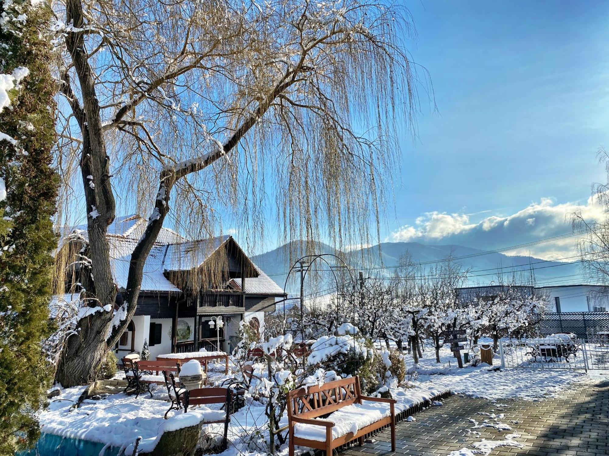 Hotel Pensiunea Apfelhaus Cisnădioara Esterno foto