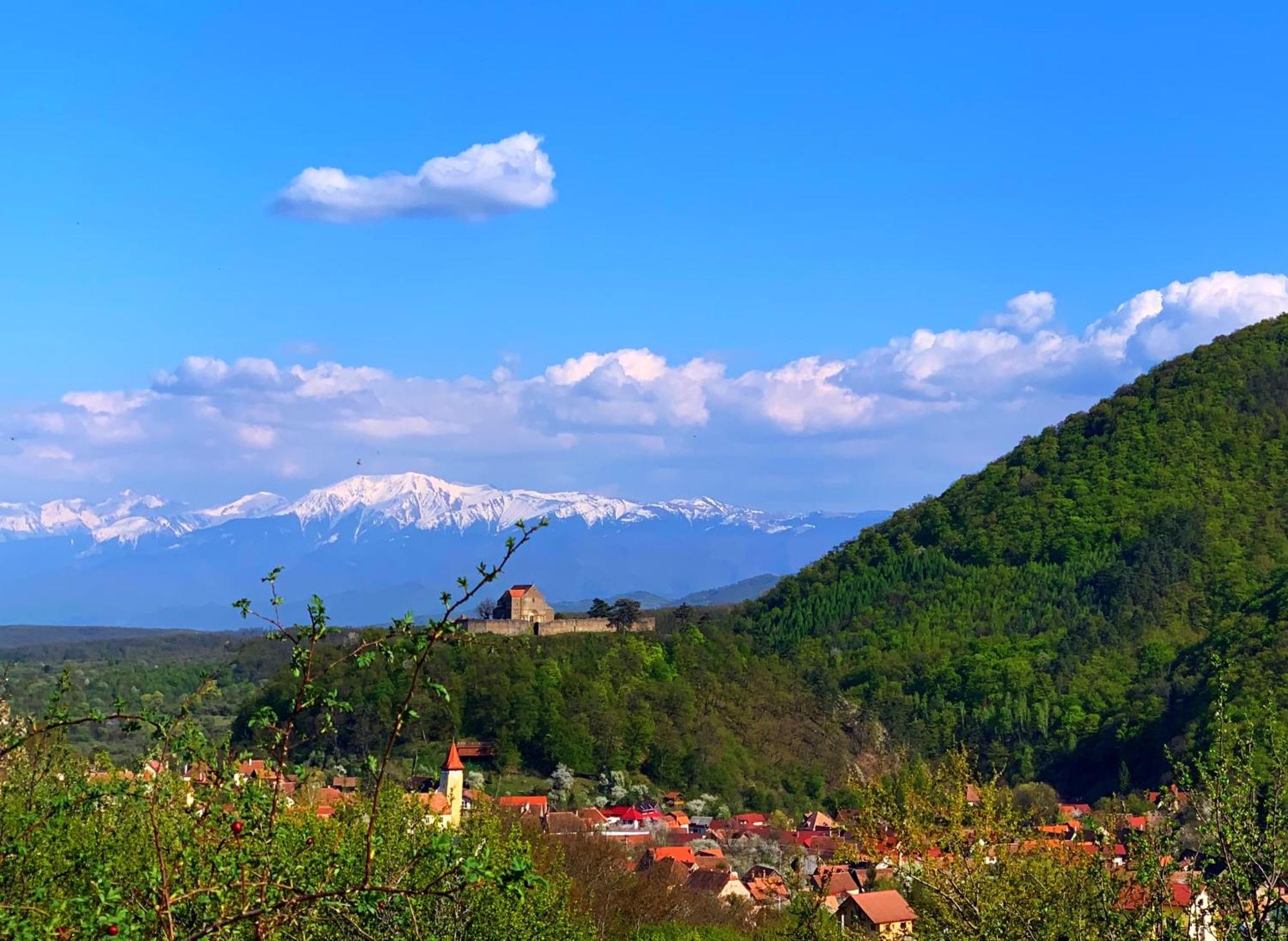 Pensiunea Apfelhaus Cisnădioara Esterno foto
