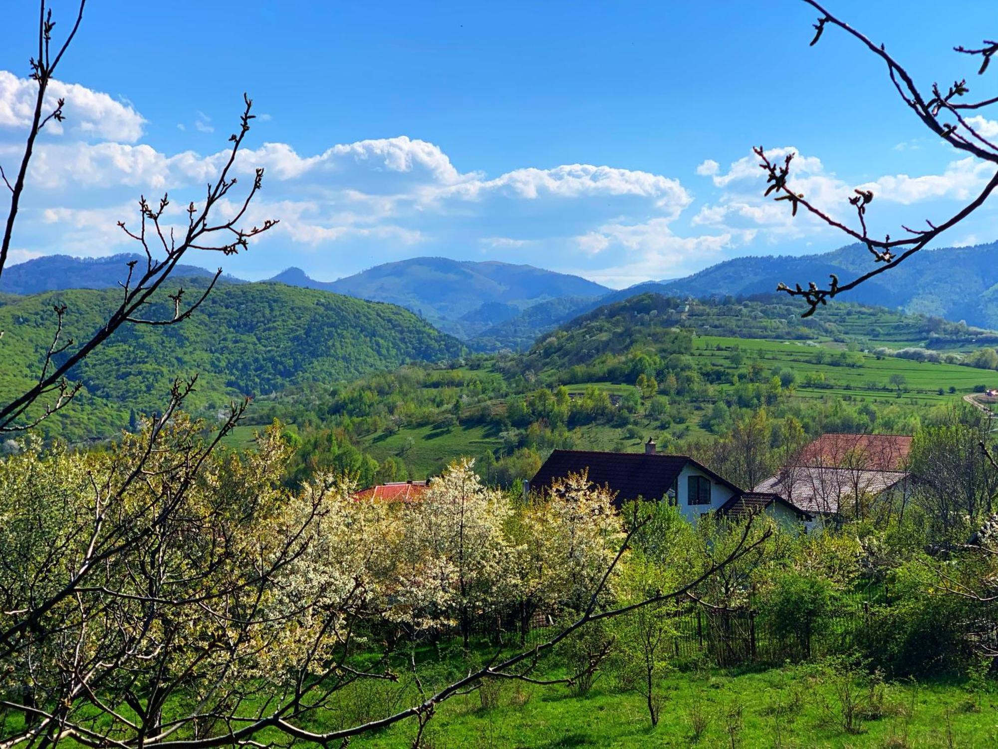 Pensiunea Apfelhaus Cisnădioara Esterno foto