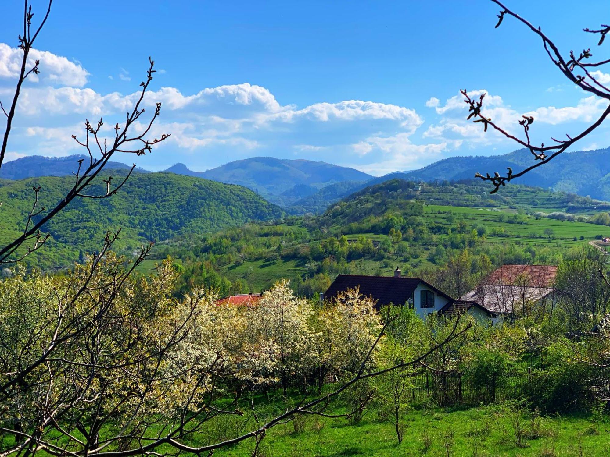 Hotel Pensiunea Apfelhaus Cisnădioara Esterno foto