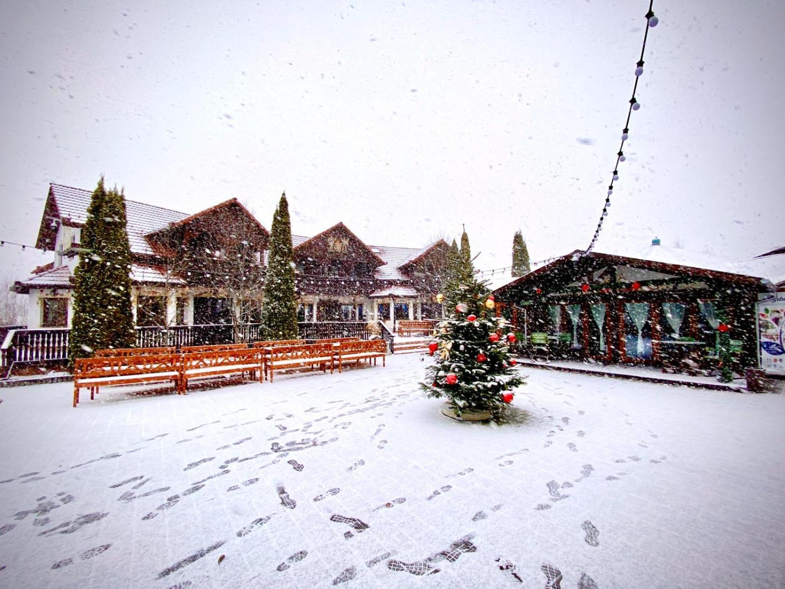 Pensiunea Apfelhaus Cisnădioara Esterno foto